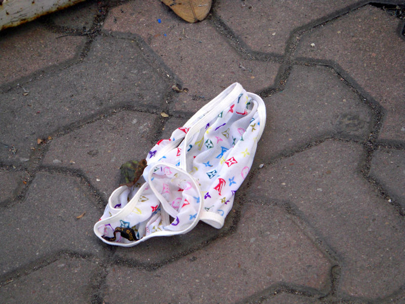ブラジャーやパンツが地面にポイ捨てされてる画像！青姦でもしたんかｗ