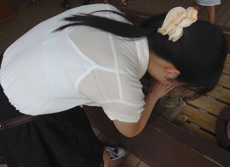 ブラジャーとキャミソールが衣服から透けて見えてる女の子のエロ画像！